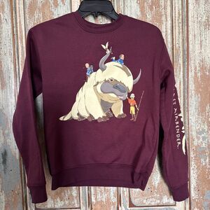 Avatar The Last Airbender Group Portrait Aang, Burgundy Sweater, Womens Size XS